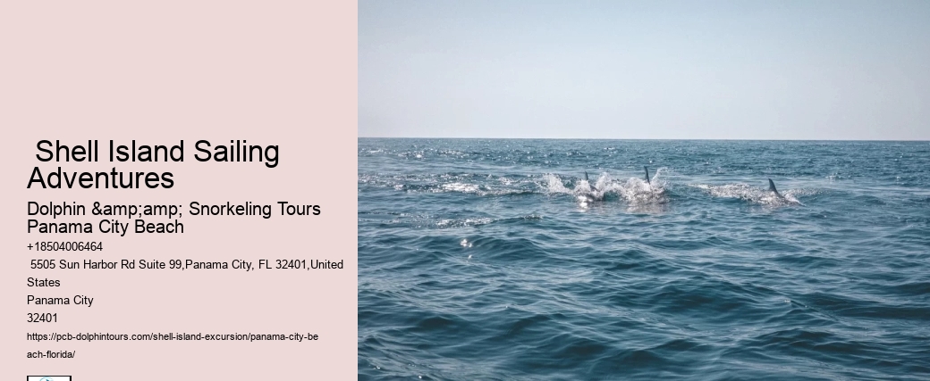  Shell Island Dolphin Tours Panama City Beach Fl