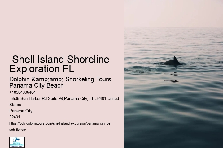  Shell Island Aquatic Bliss Tours FL
