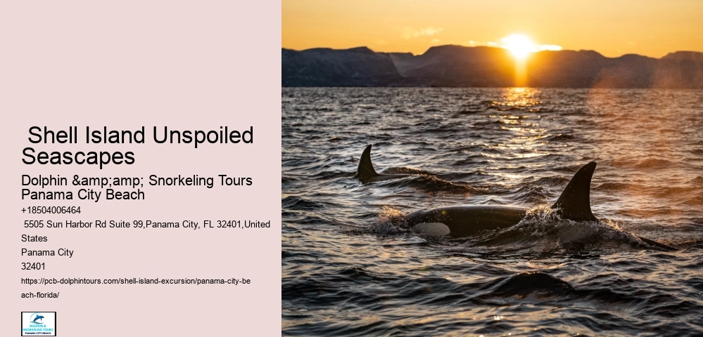  Shell Island Coastal Panorama Boatrides