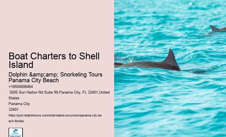  Can We Kayak From The Park Over To Shell Island