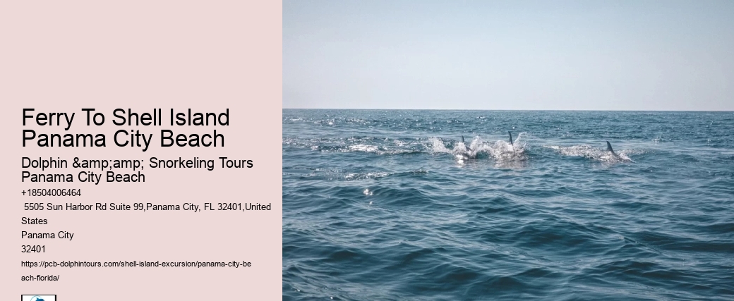 Shell Island Shoreside Adventures