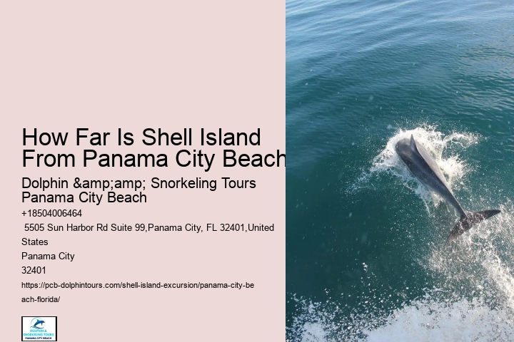  Panama City Beach Snorkeling Tours