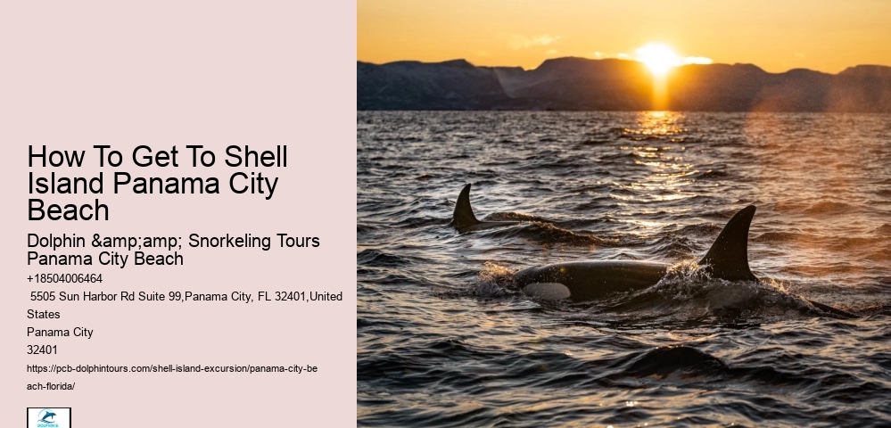  Shell Island Excursions Panama City Beach Fl