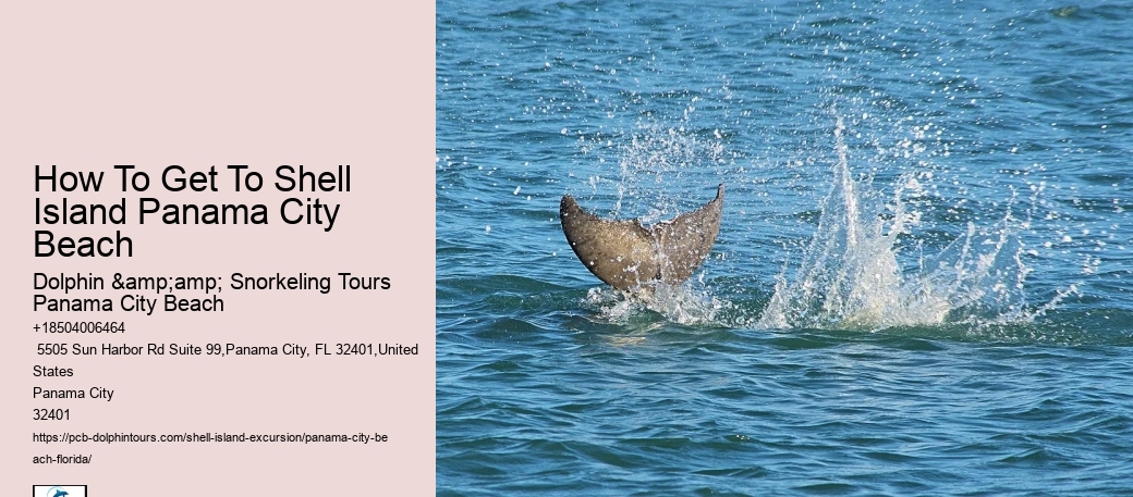  Dolphin Tour