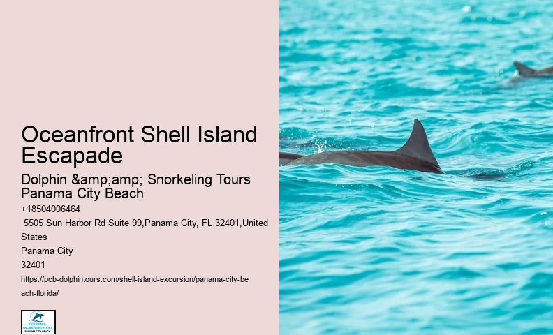  Shell Island Unspoiled Seascapes