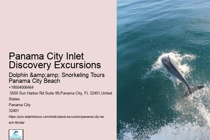  Inflatable Water Park Pcb Dolphin Boat Tour