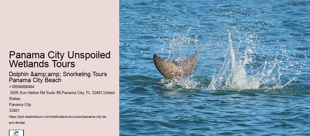  Shell Island Hidden Gem Adventures