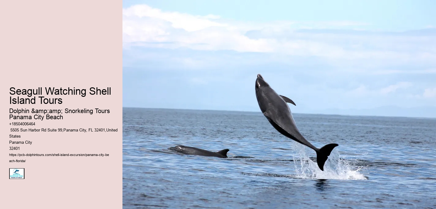  How To Visit Shell Island In Panama City Beach