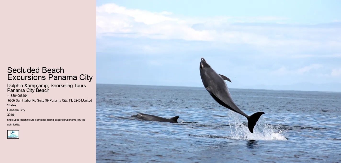  Shell Island Eco Tours Florida