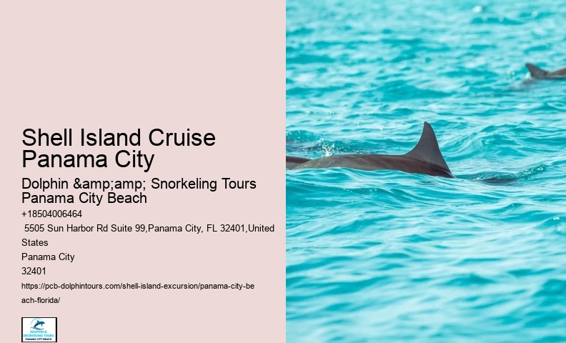  Cruise
