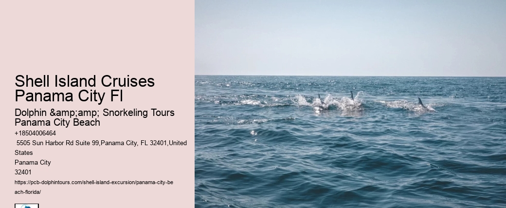  Shell Island - All You Need To Know Before You Go