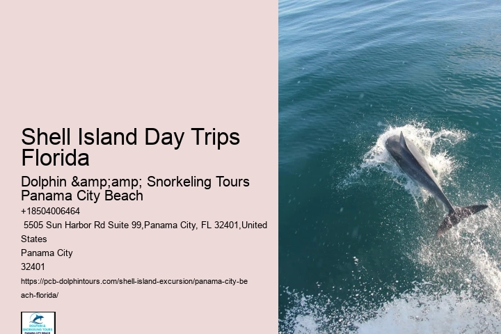  Shell Island Coastal Wonder Tours