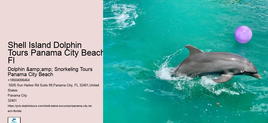 Bottlenose Dolphins