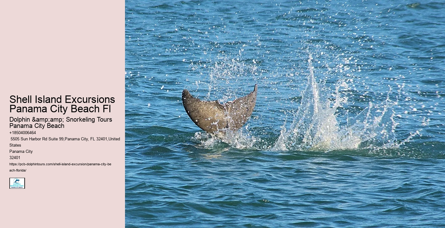  Shell Island Aquatic Serenity Tours