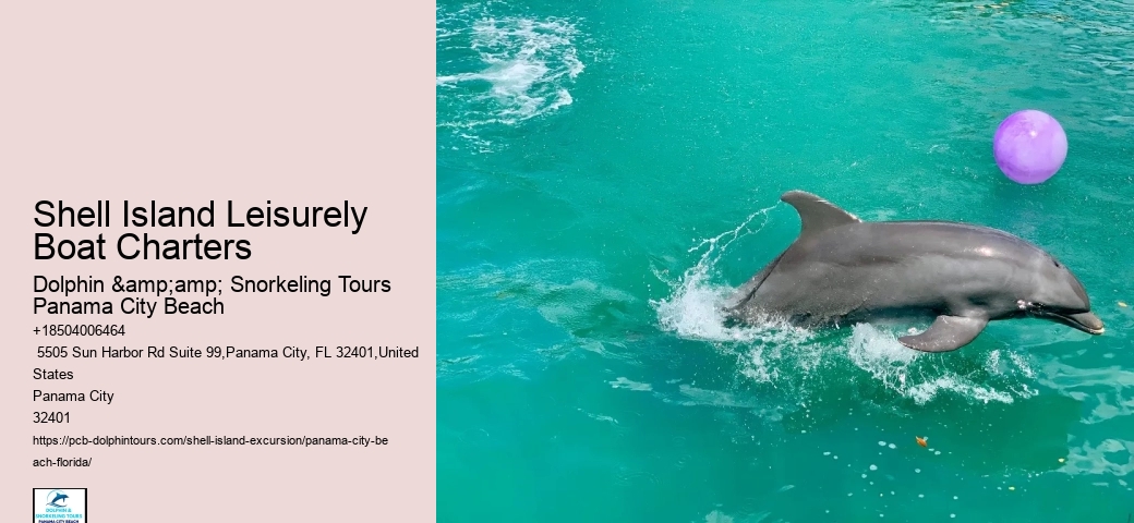  Dolphins
