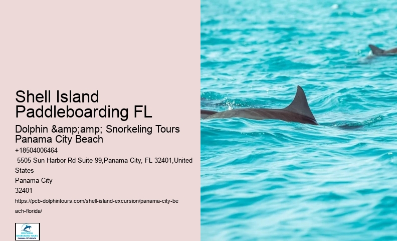  Shell Island Hidden Oasis Tours