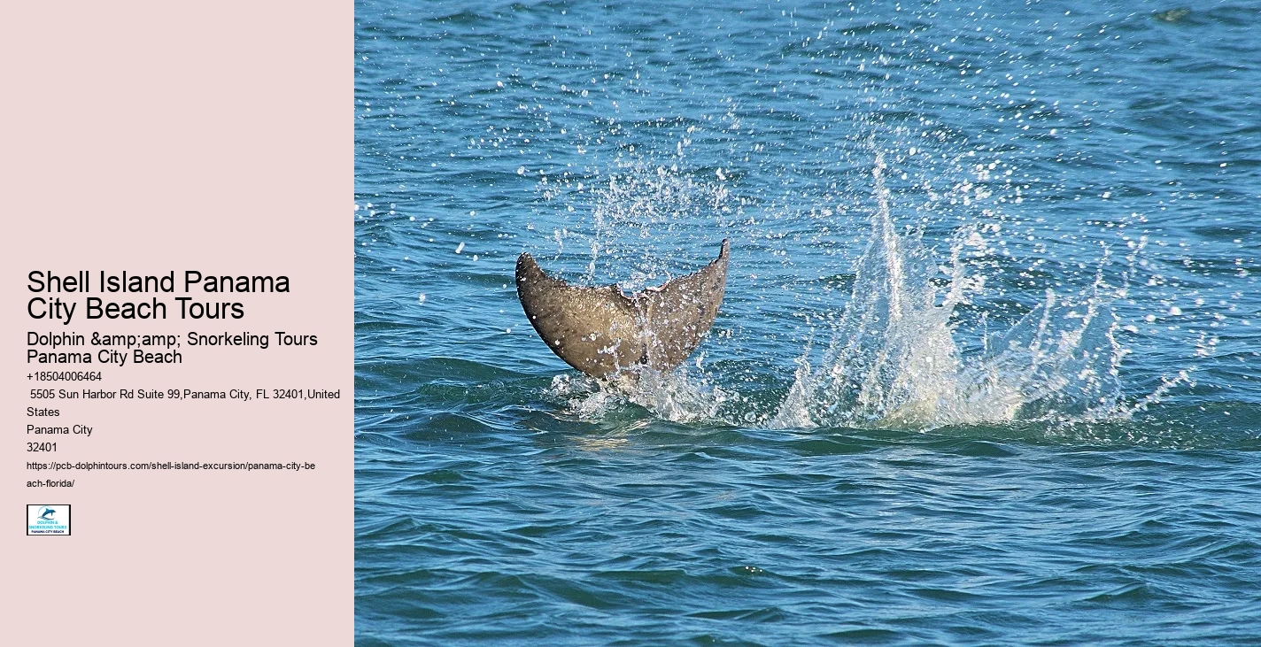  Coastal Tranquility Panama City Beach Tours