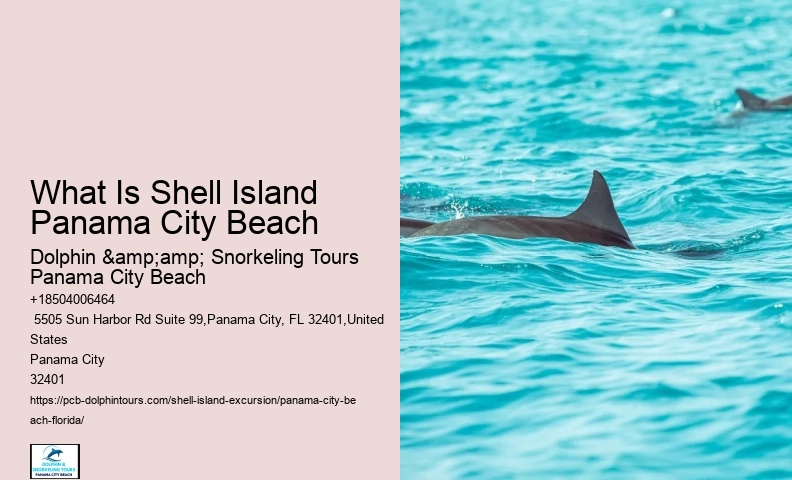  Is Panama City Beach Good For Shelling