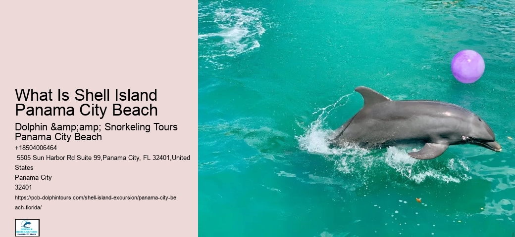  Panama City Watercraft Discovery Tours
